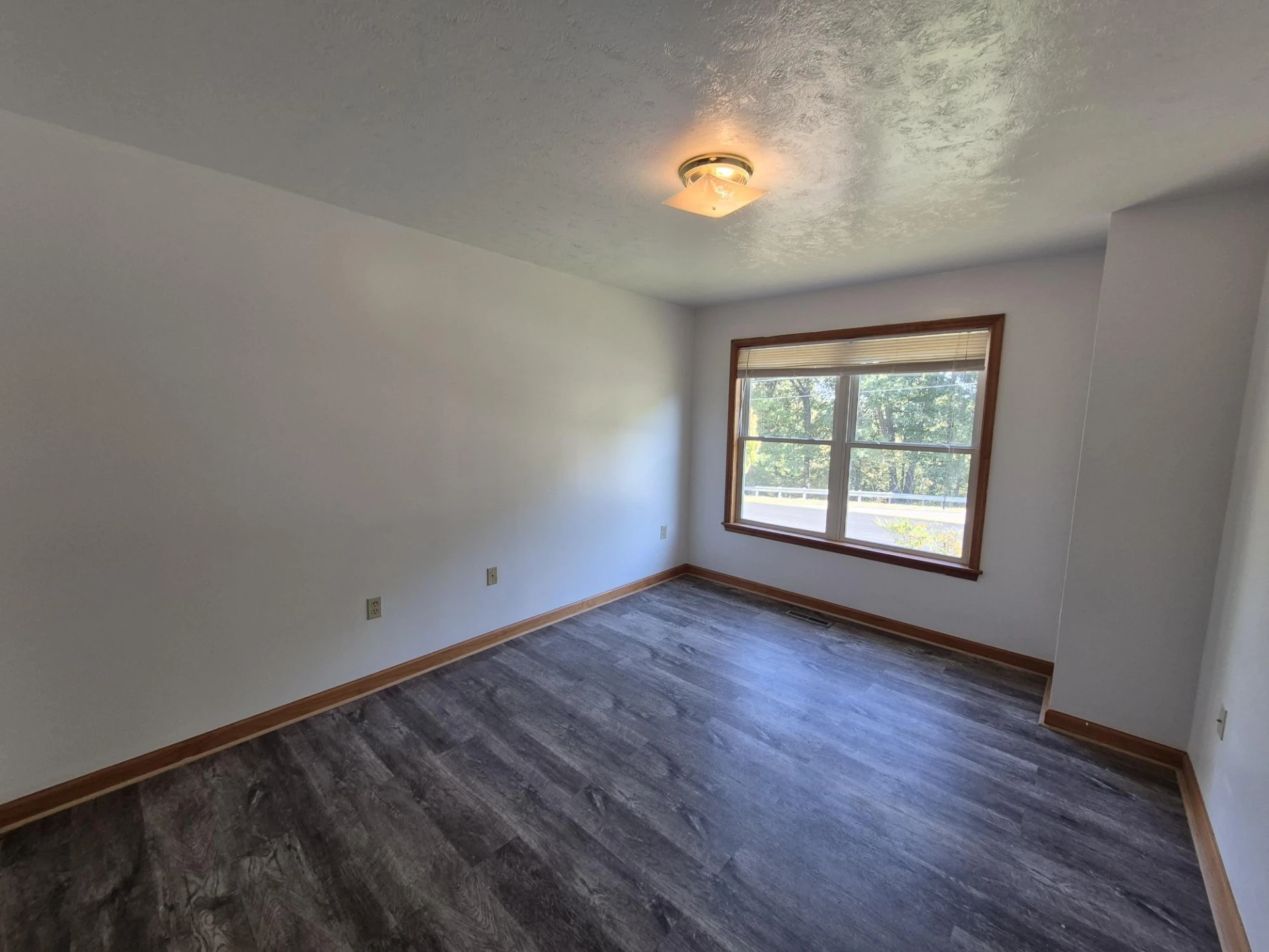 10048 Moneta RD - Photo 19