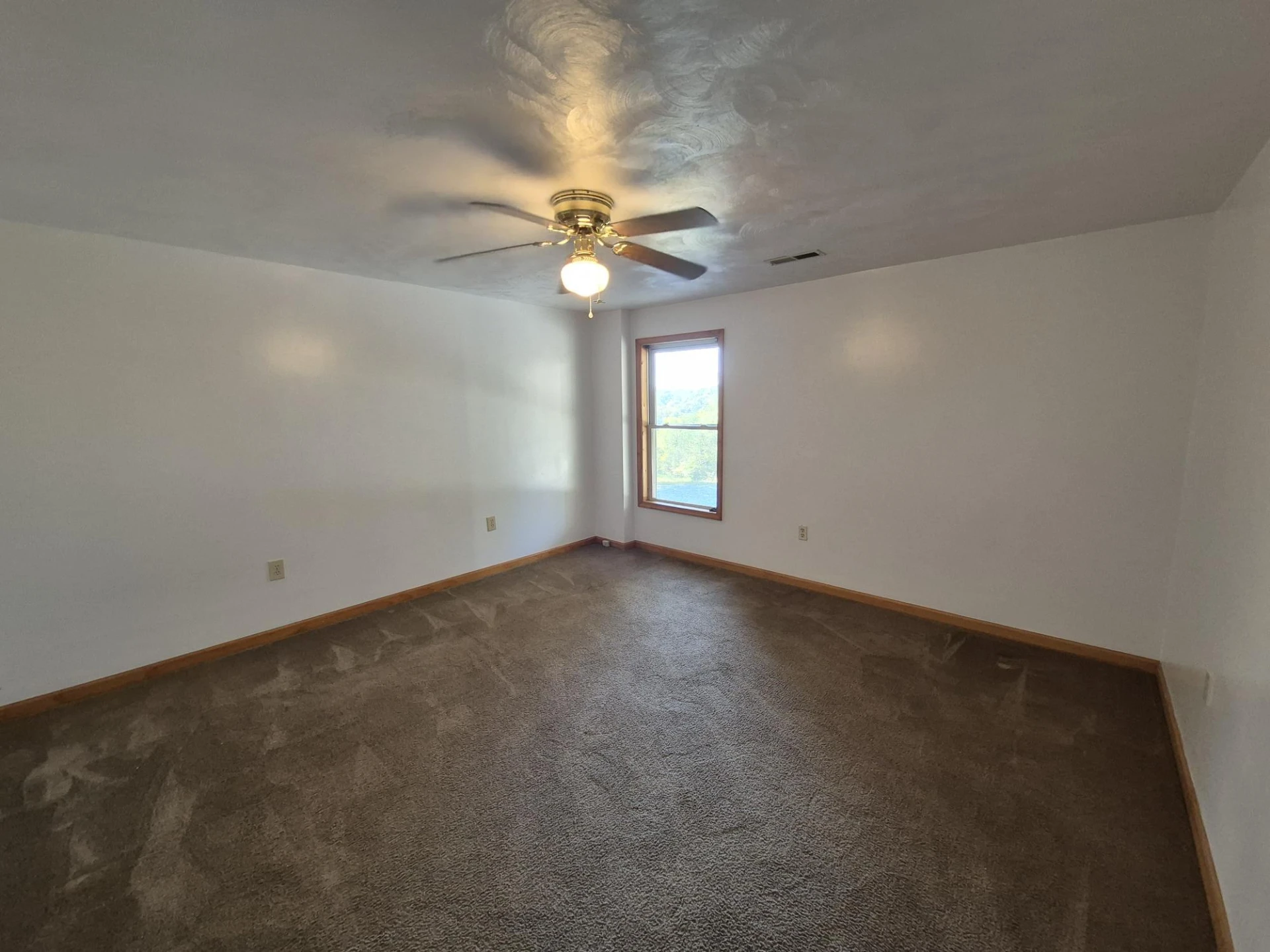 10048 Moneta RD - Photo 25