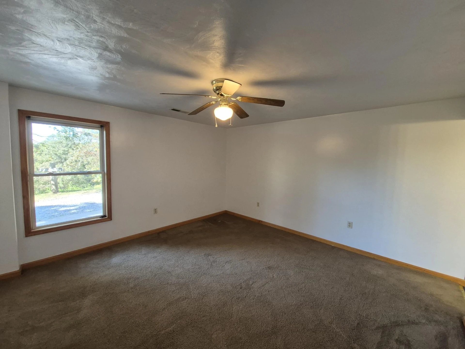 10048 Moneta RD - Photo 26