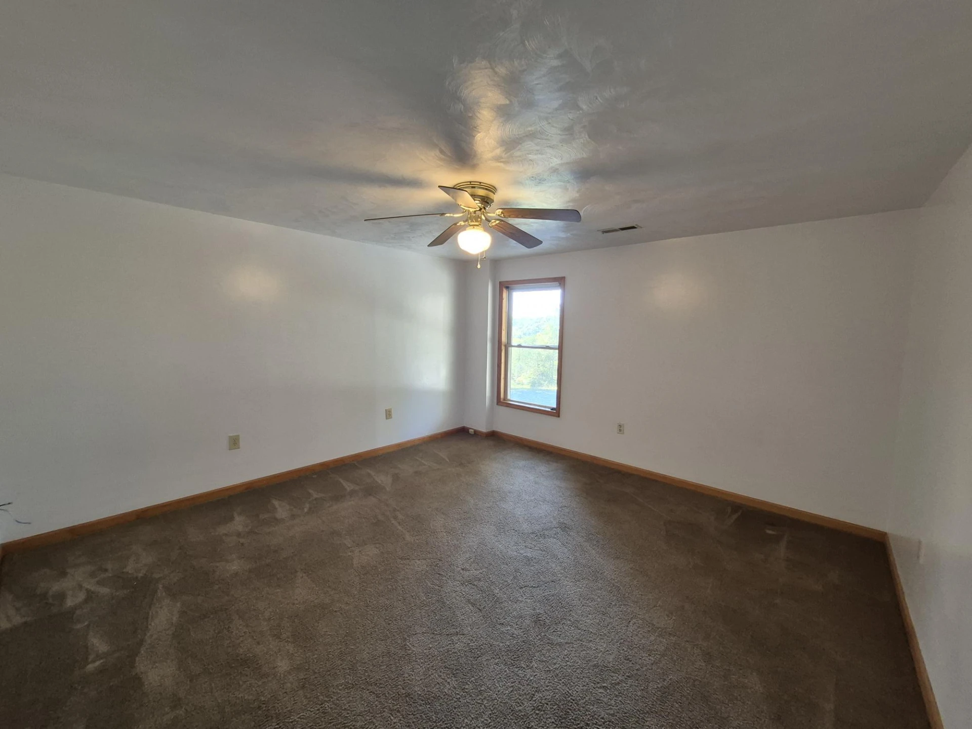 10048 Moneta RD - Photo 28