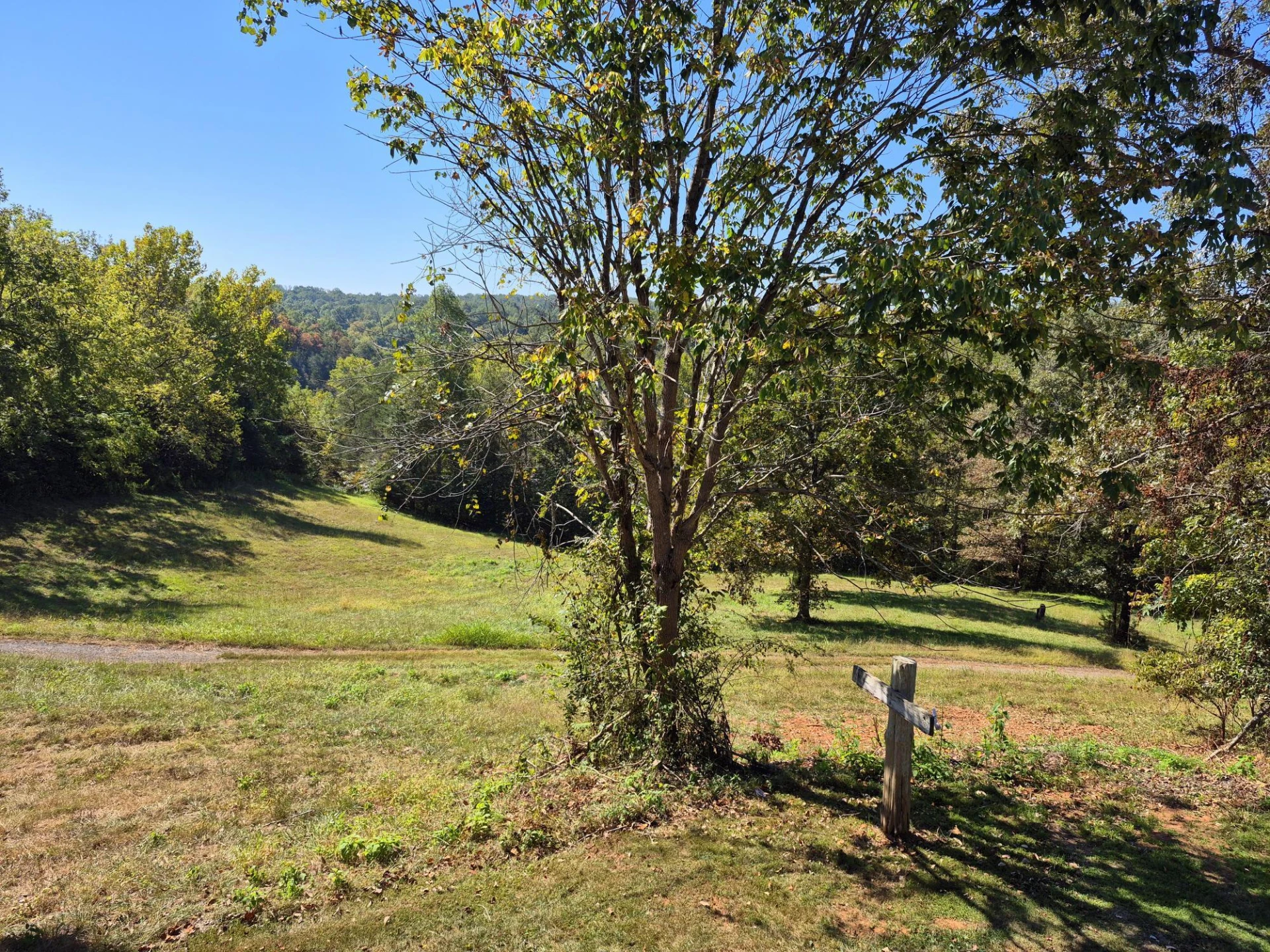 10048 Moneta RD - Photo 38