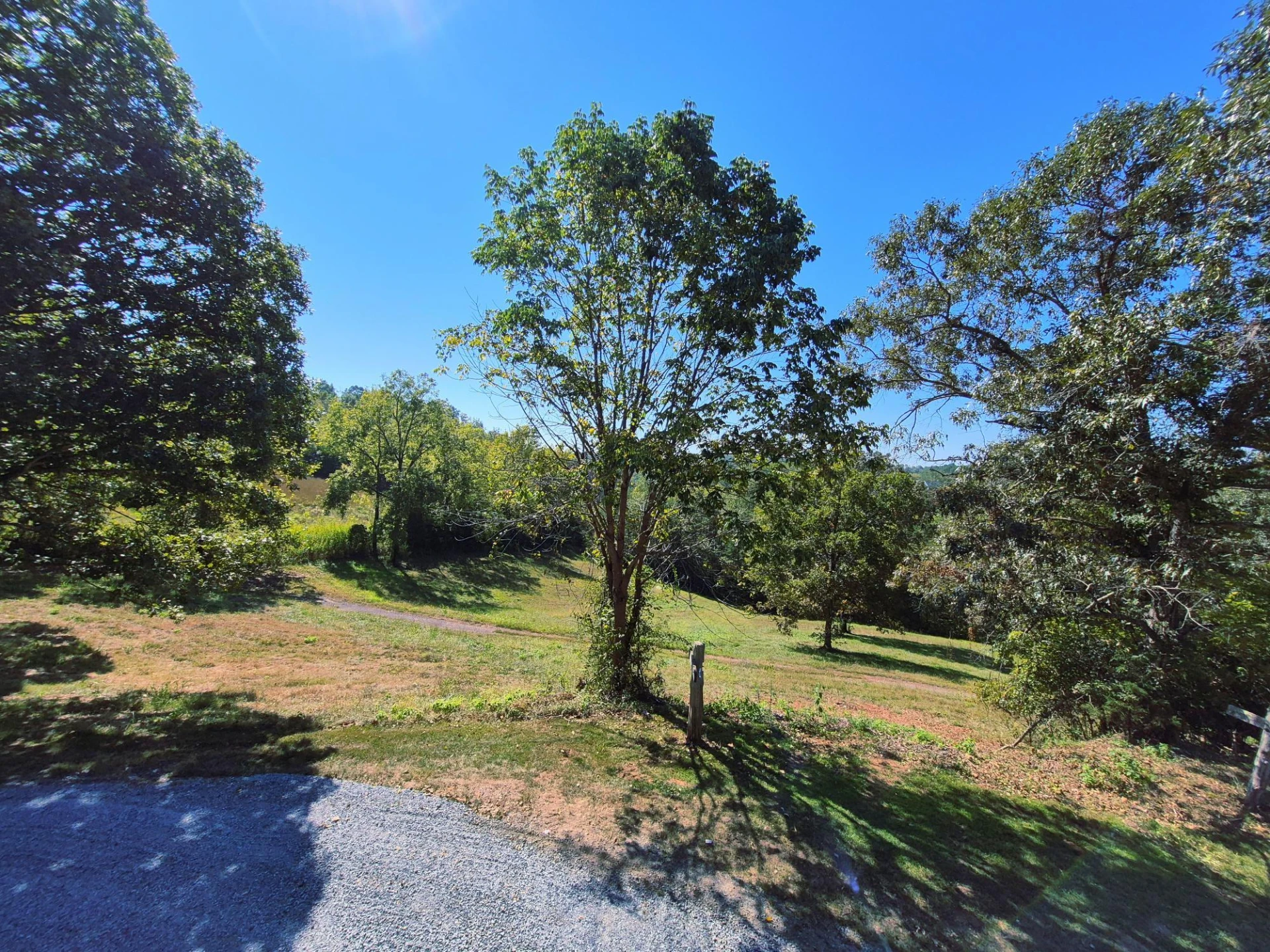 10048 Moneta RD - Photo 44