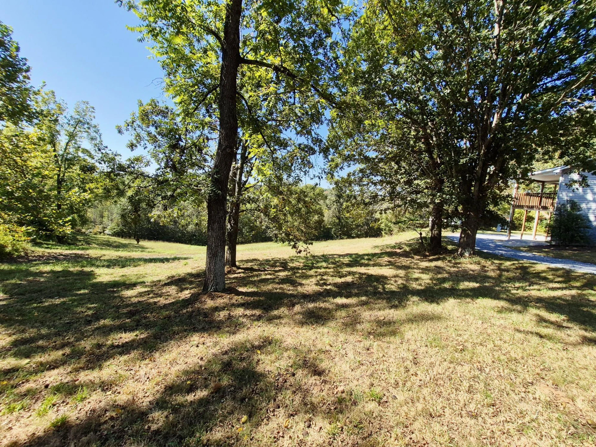 10048 Moneta RD - Photo 51