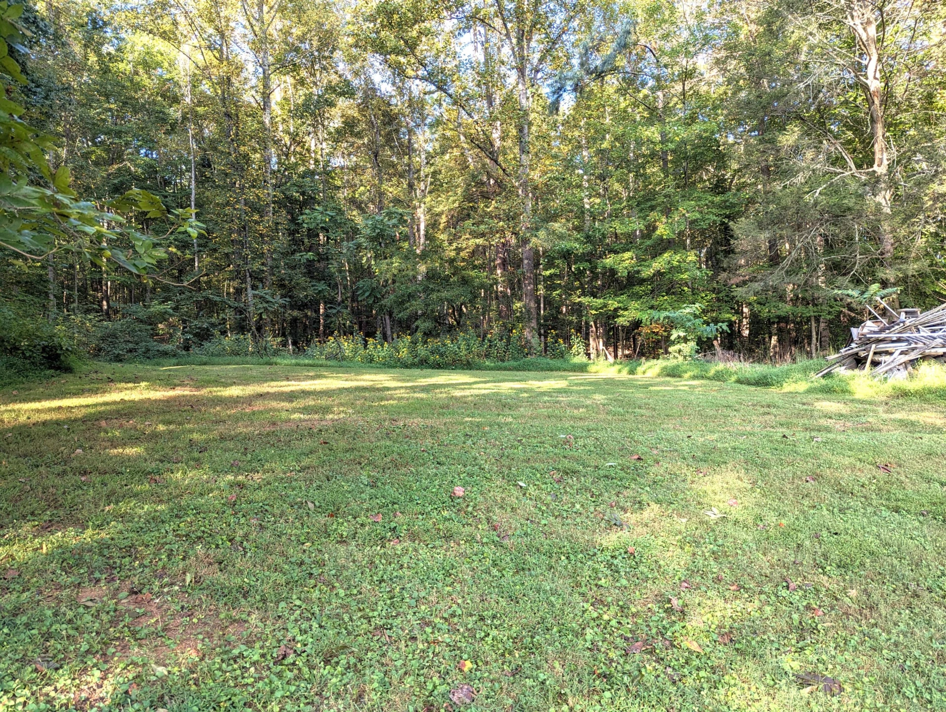 1769 Factory Hill RD - Photo 40