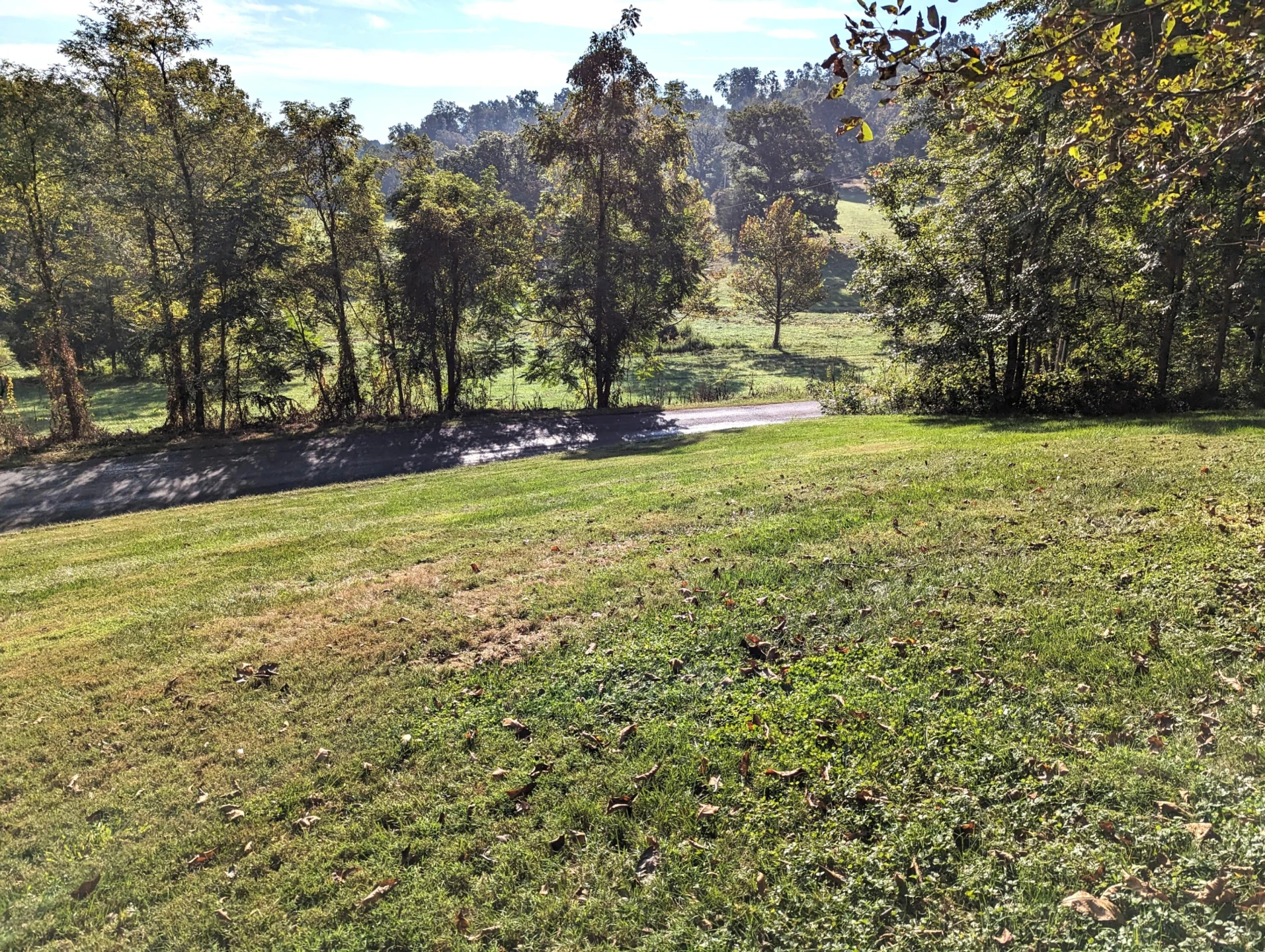 1769 Factory Hill RD - Photo 47
