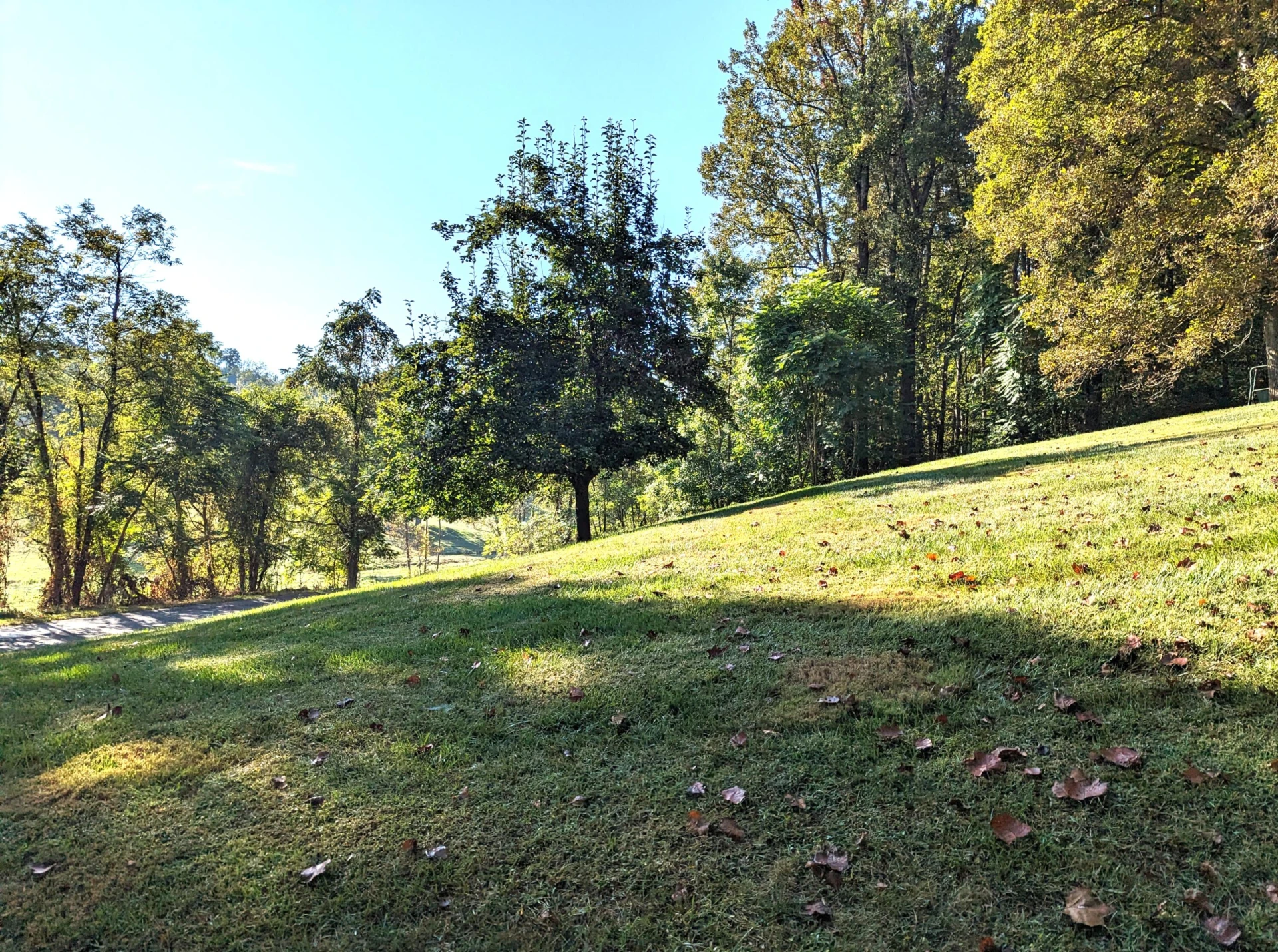 1769 Factory Hill RD - Photo 52