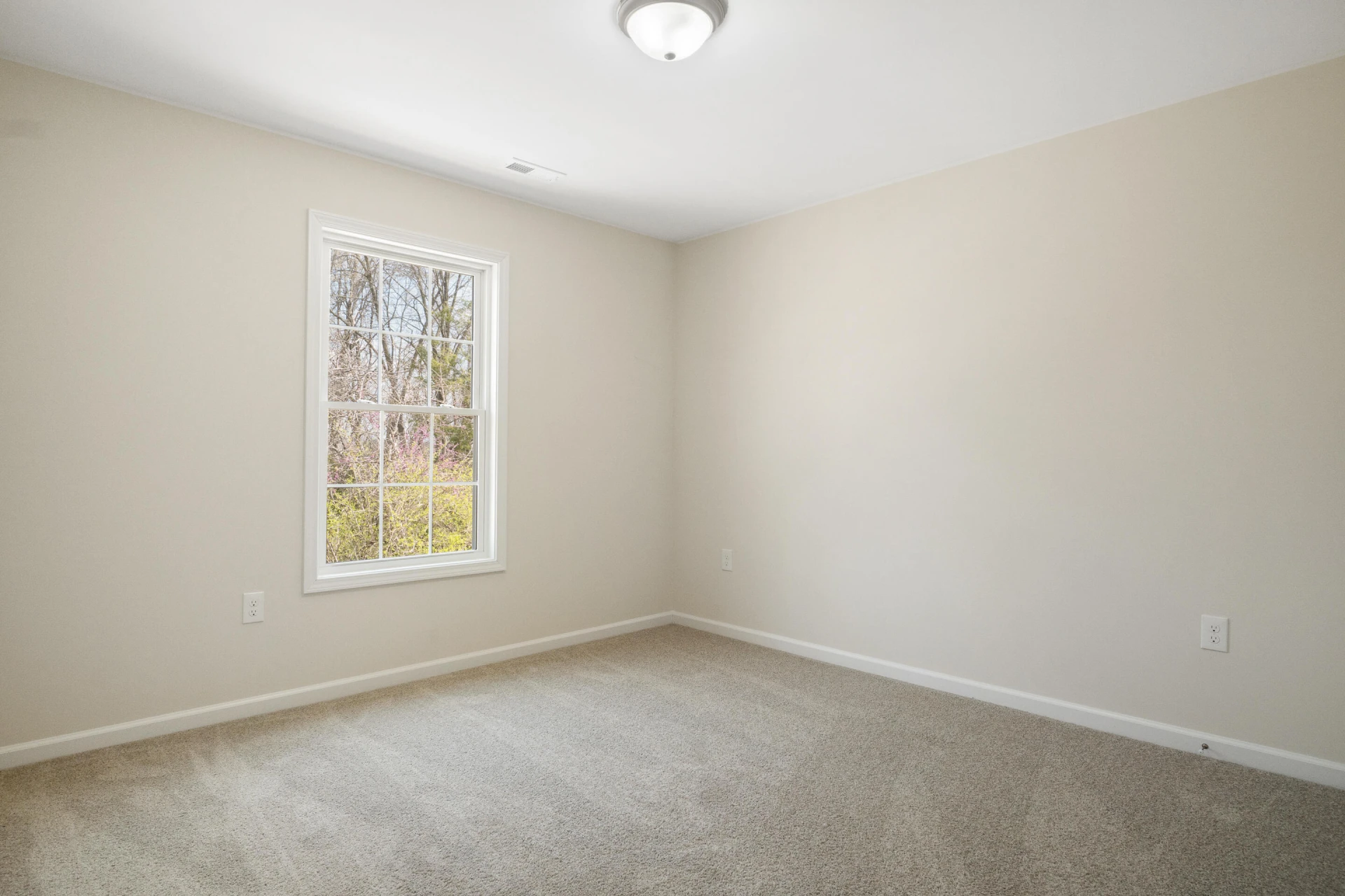 6137 Warren Newcomb DR - Photo 31