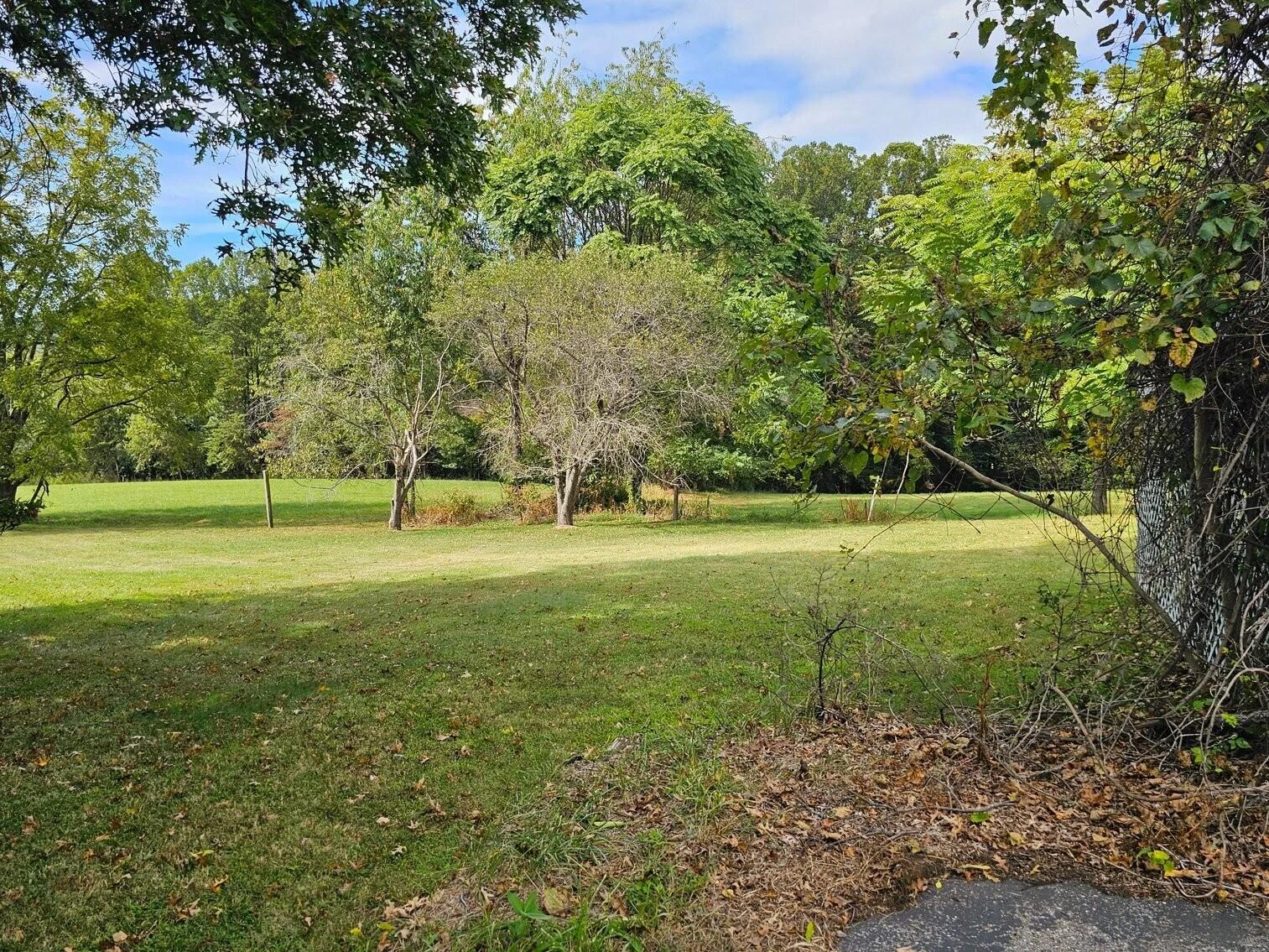 1810 Scuffling Hill RD - Photo 23