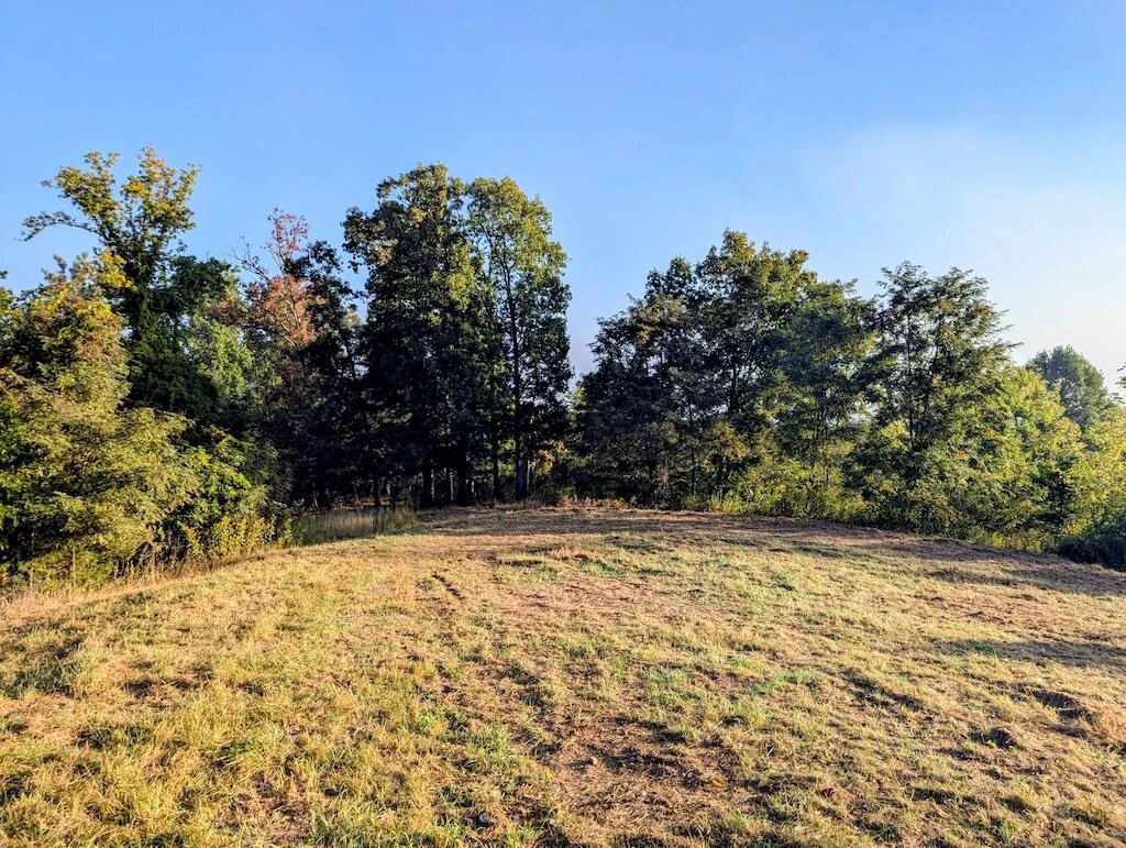 4771 Sidney Church RD - Photo 16