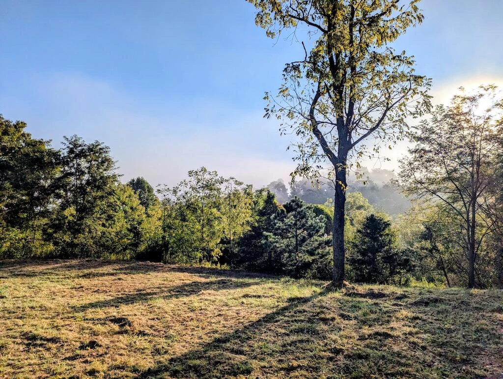 4771 Sidney Church RD - Photo 17