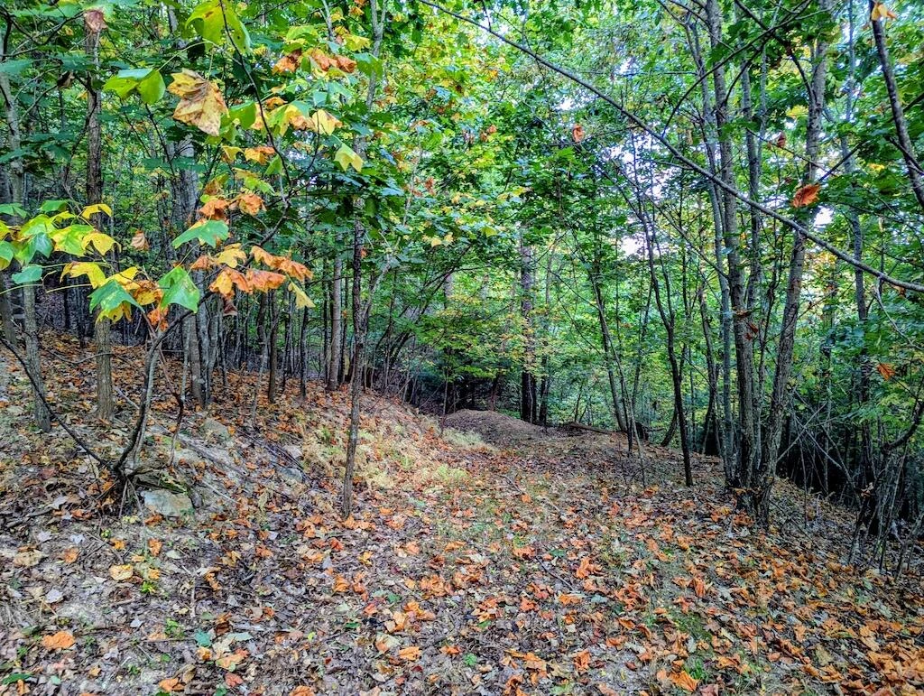 4771 Sidney Church RD - Photo 18