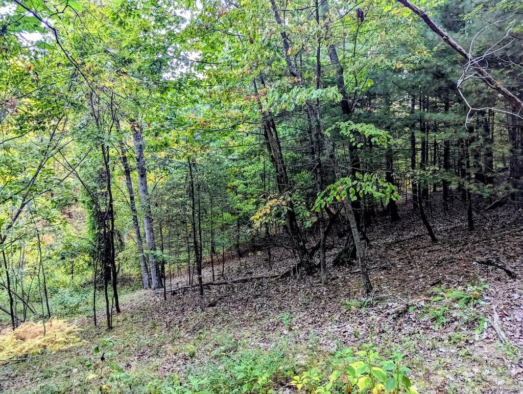 4771 Sidney Church RD - Photo 19