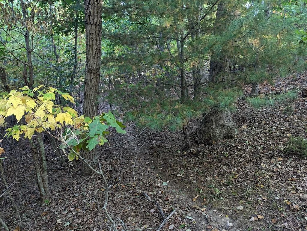 4771 Sidney Church RD - Photo 21