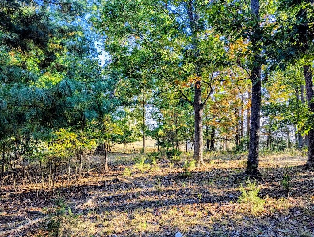 4771 Sidney Church RD - Photo 22