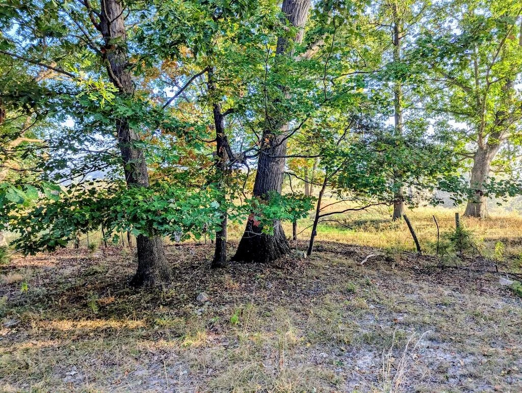 4771 Sidney Church RD - Photo 24
