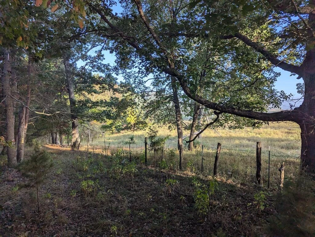 4771 Sidney Church RD - Photo 25