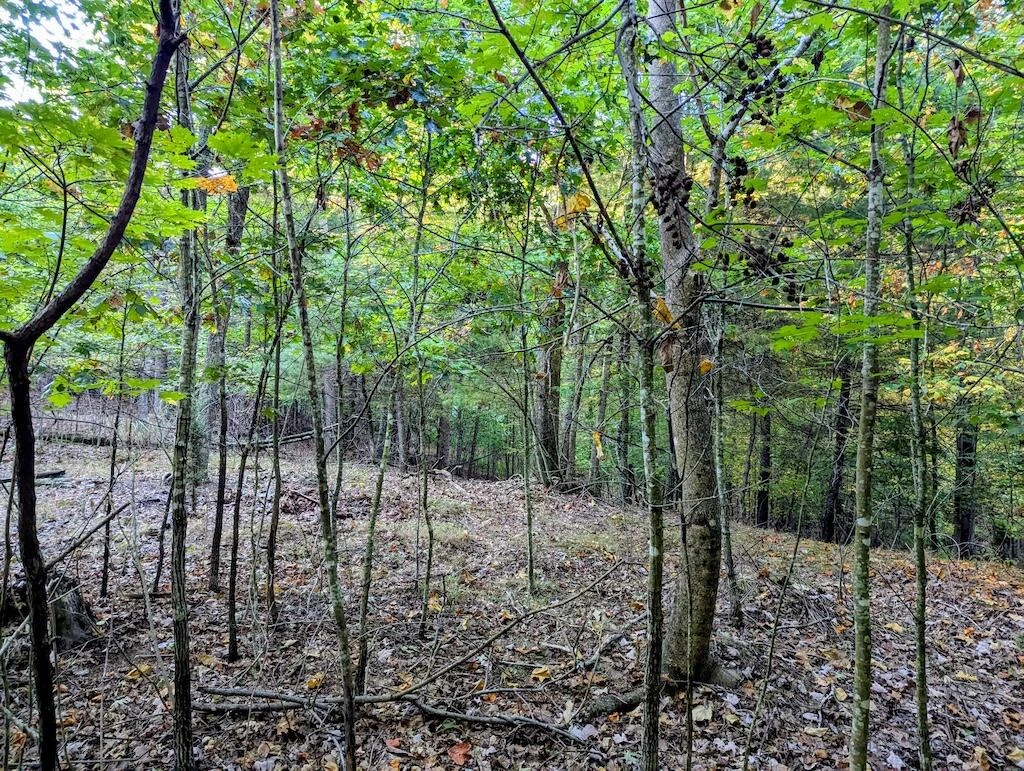 4771 Sidney Church RD - Photo 26