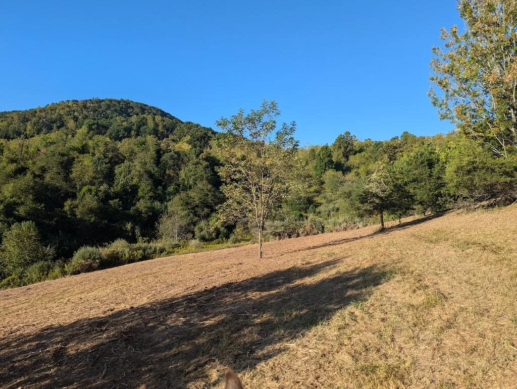 4771 Sidney Church RD - Photo 28
