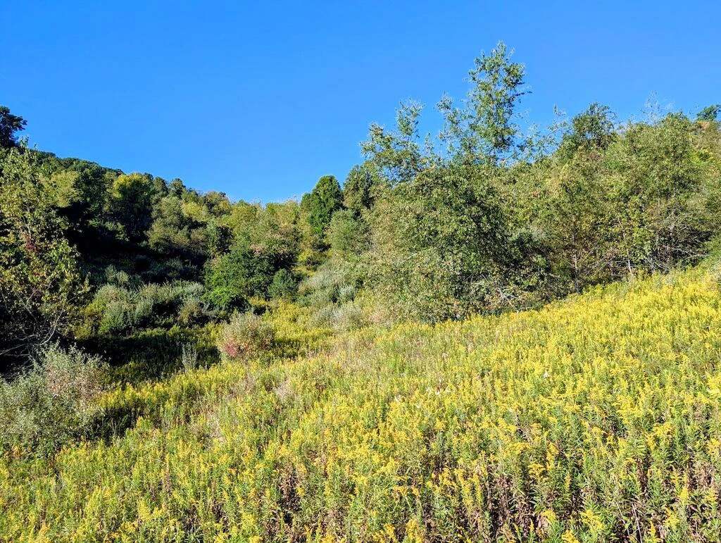 4771 Sidney Church RD - Photo 30