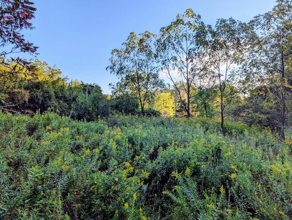 4771 Sidney Church RD - Photo 34