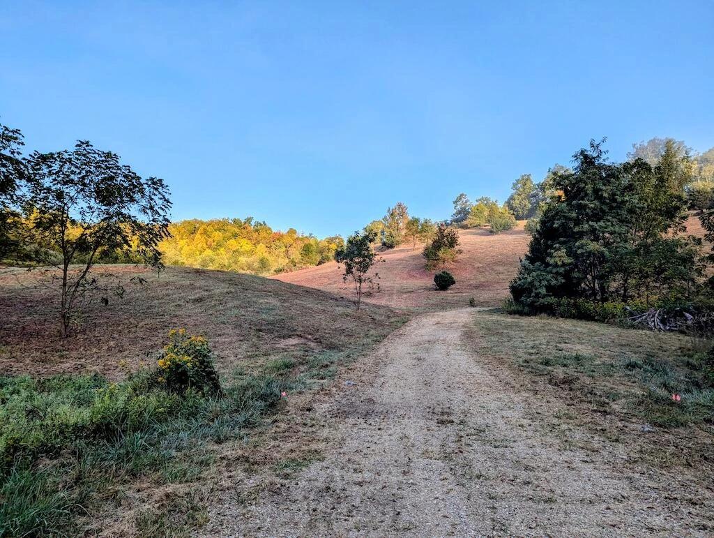 4771 Sidney Church RD - Photo 6