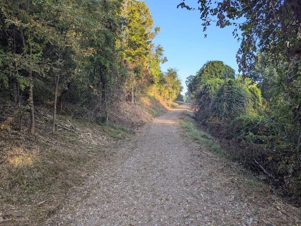 4771 Sidney Church RD - Photo 8