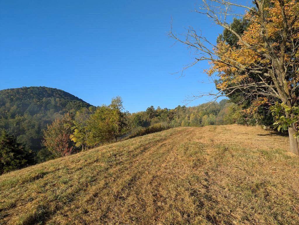 4771 Sidney Church RD - Photo 9