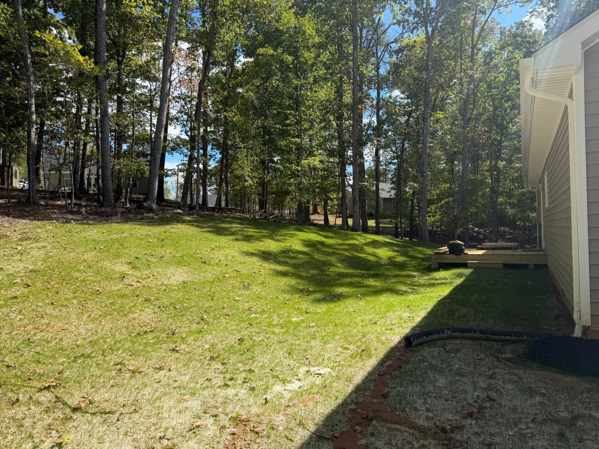 298 Cedar Bluff LN - Photo 2