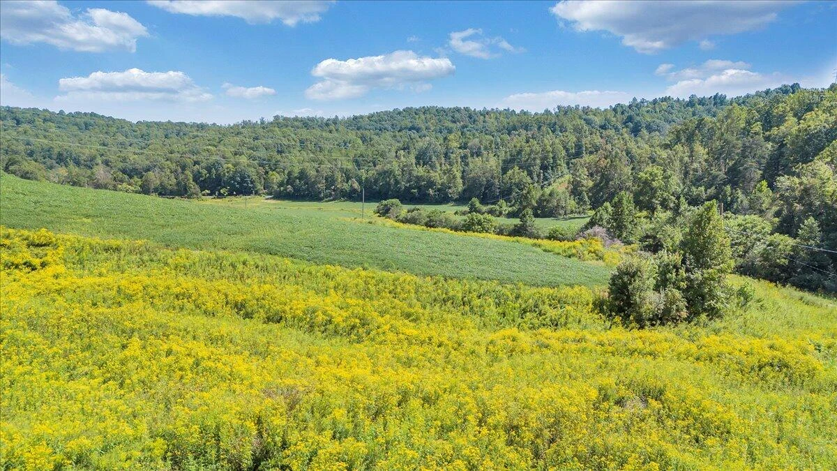 5741 Providence Church RD - Photo 37