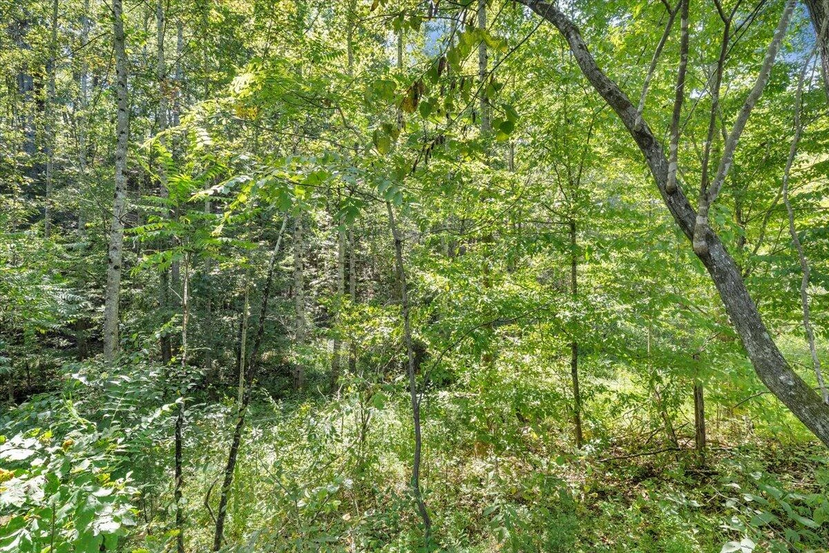 5741 Providence Church RD - Photo 50