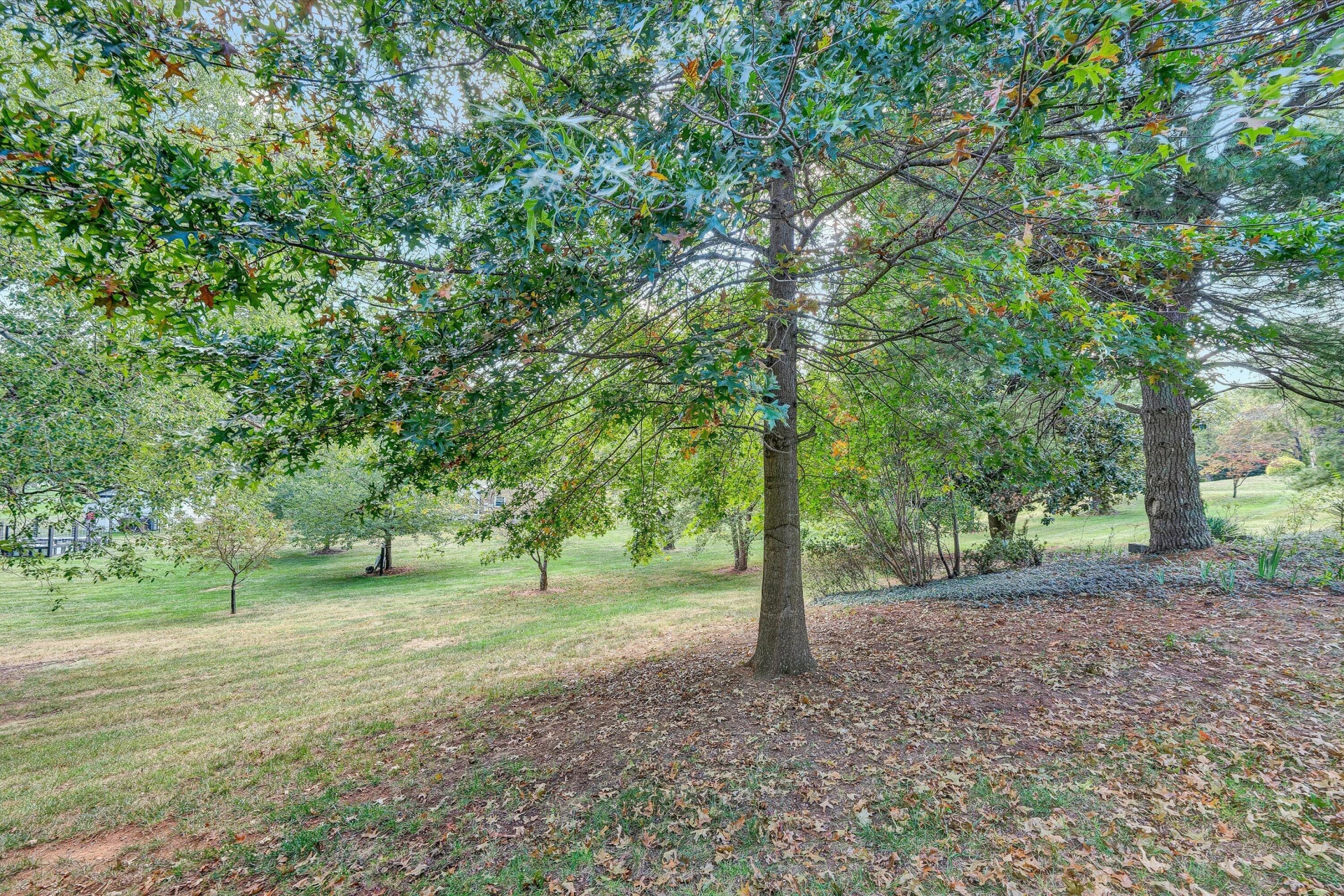 5668 Club LN - Photo 48