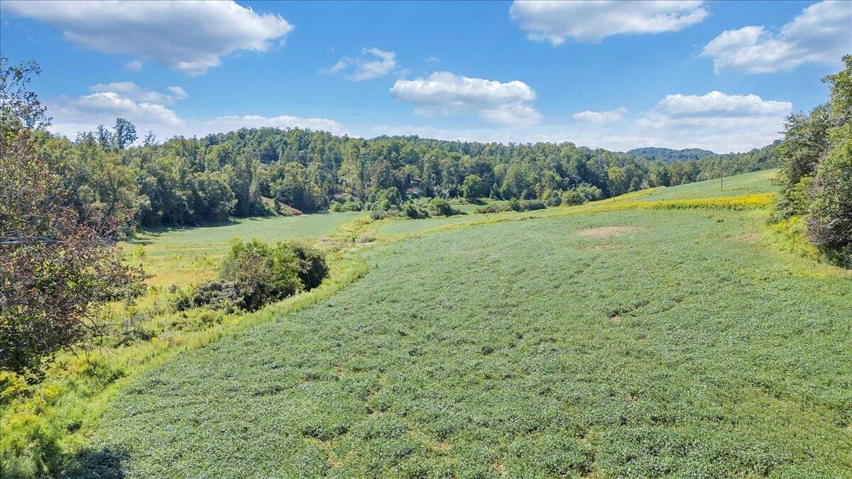 5741 Providence Church RD - Photo 19