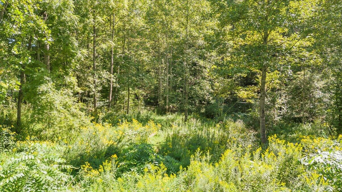 5741 Providence Church RD - Photo 33