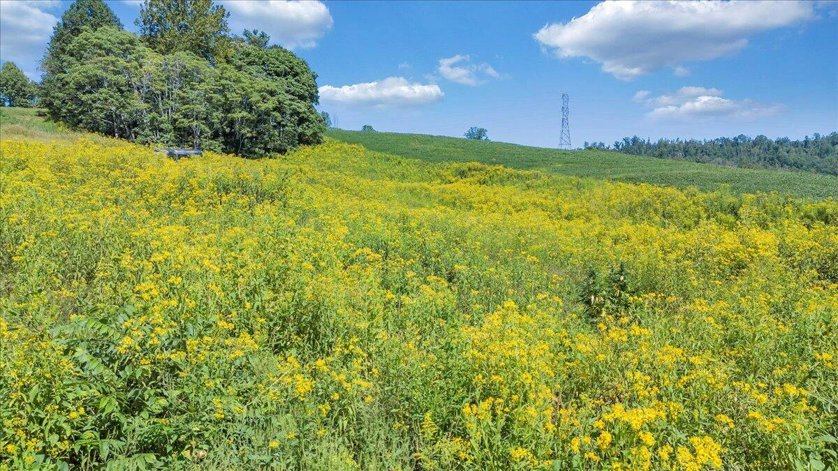5741 Providence Church RD - Photo 34
