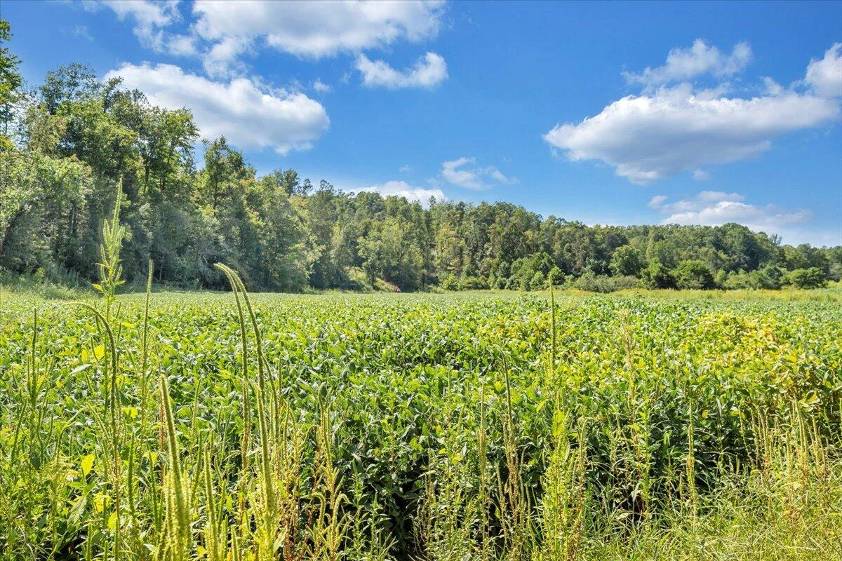 5741 Providence Church RD - Photo 41