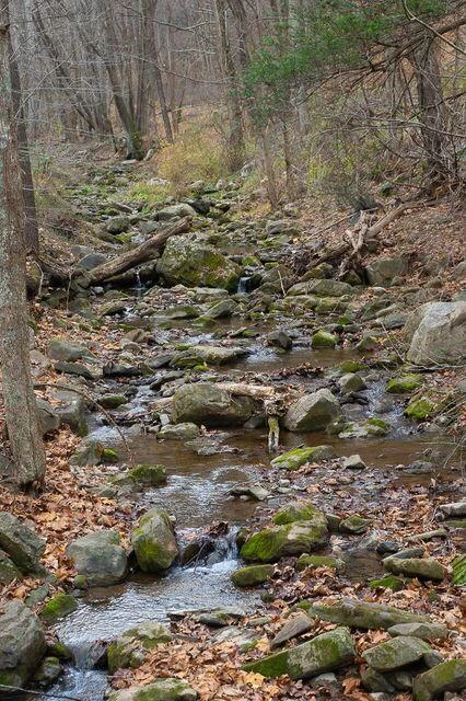 8122 Rich Patch RD - Photo 33