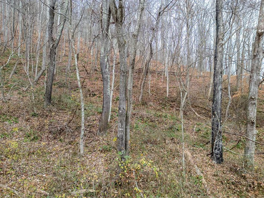 8122 Rich Patch RD - Photo 36