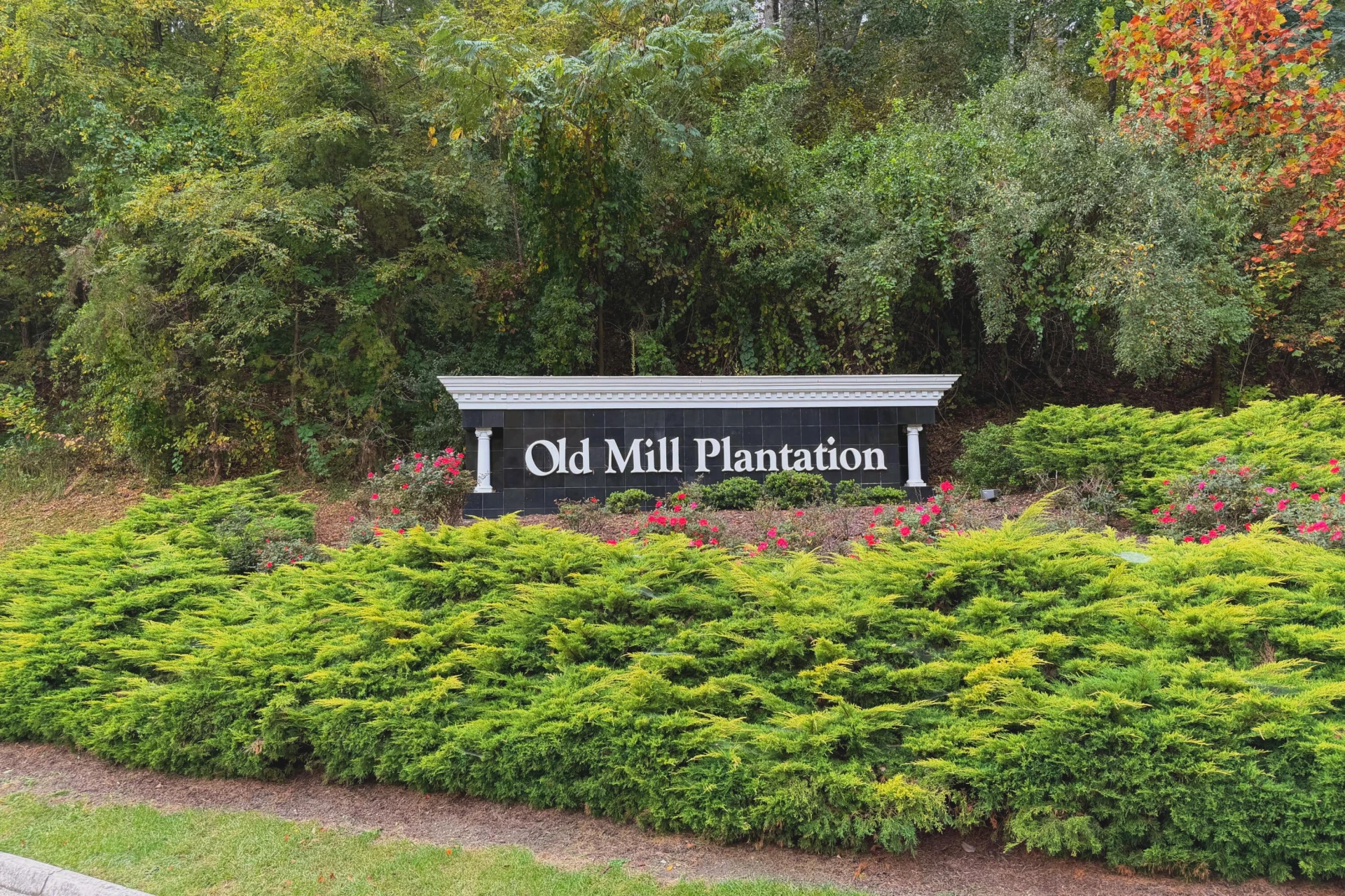 7432 Old Mill Plantation DR - Photo 2