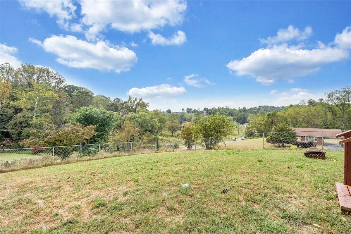 1043 Incline DR - Photo 46