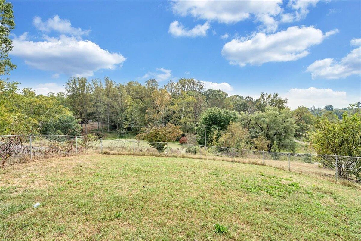 1043 Incline DR - Photo 47