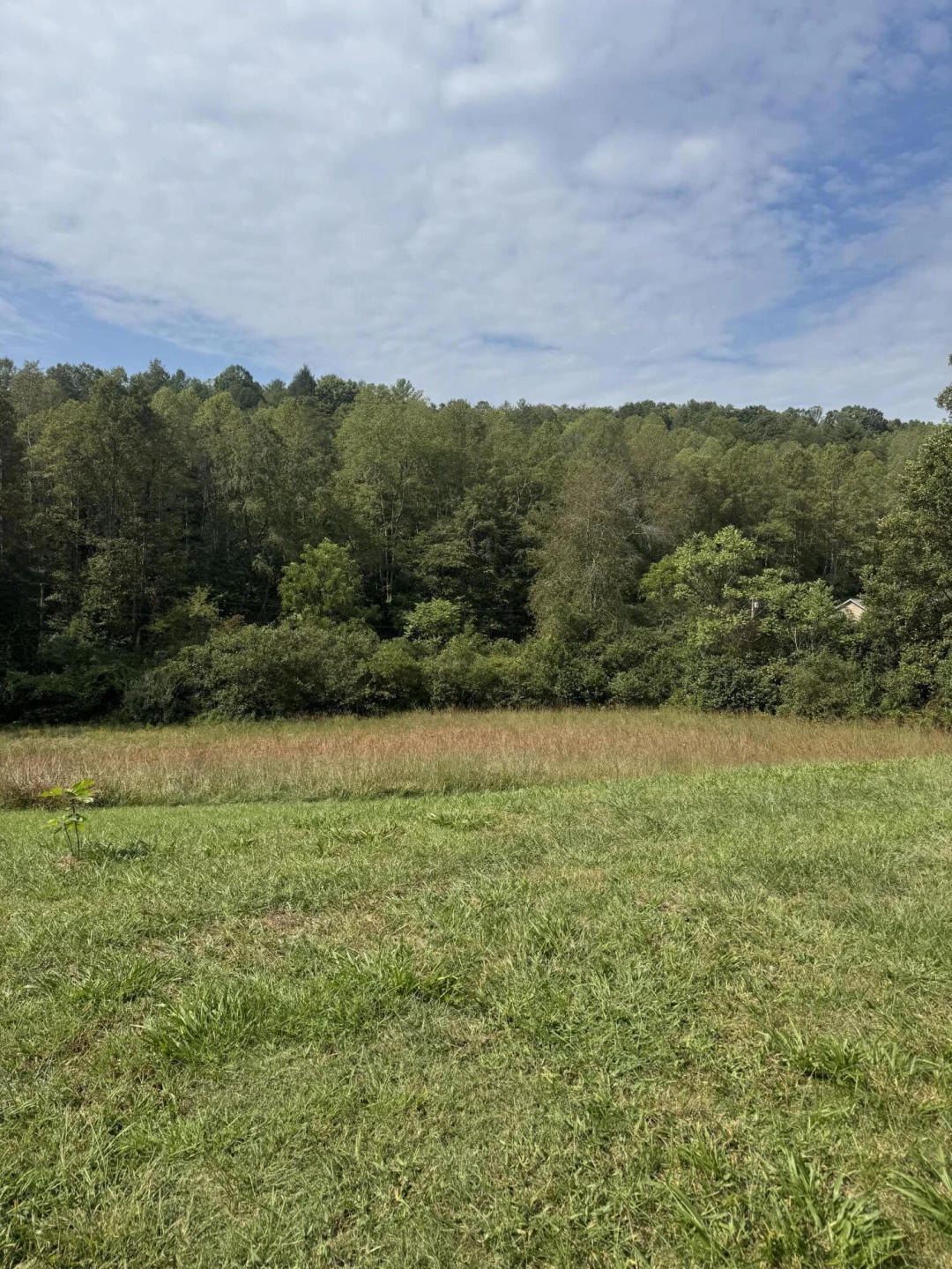 7180 Henry RD - Photo 10