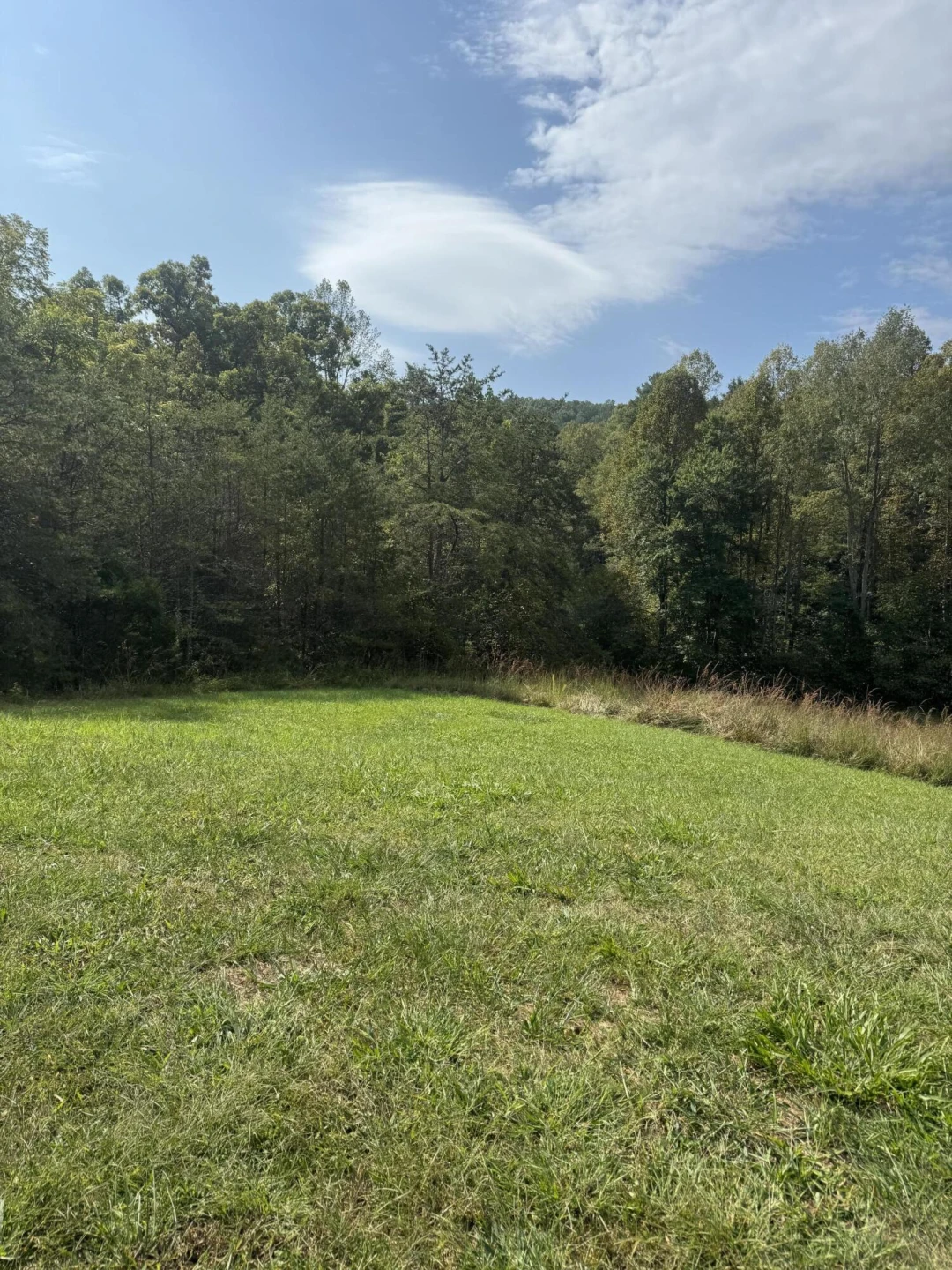 7180 Henry RD - Photo 12