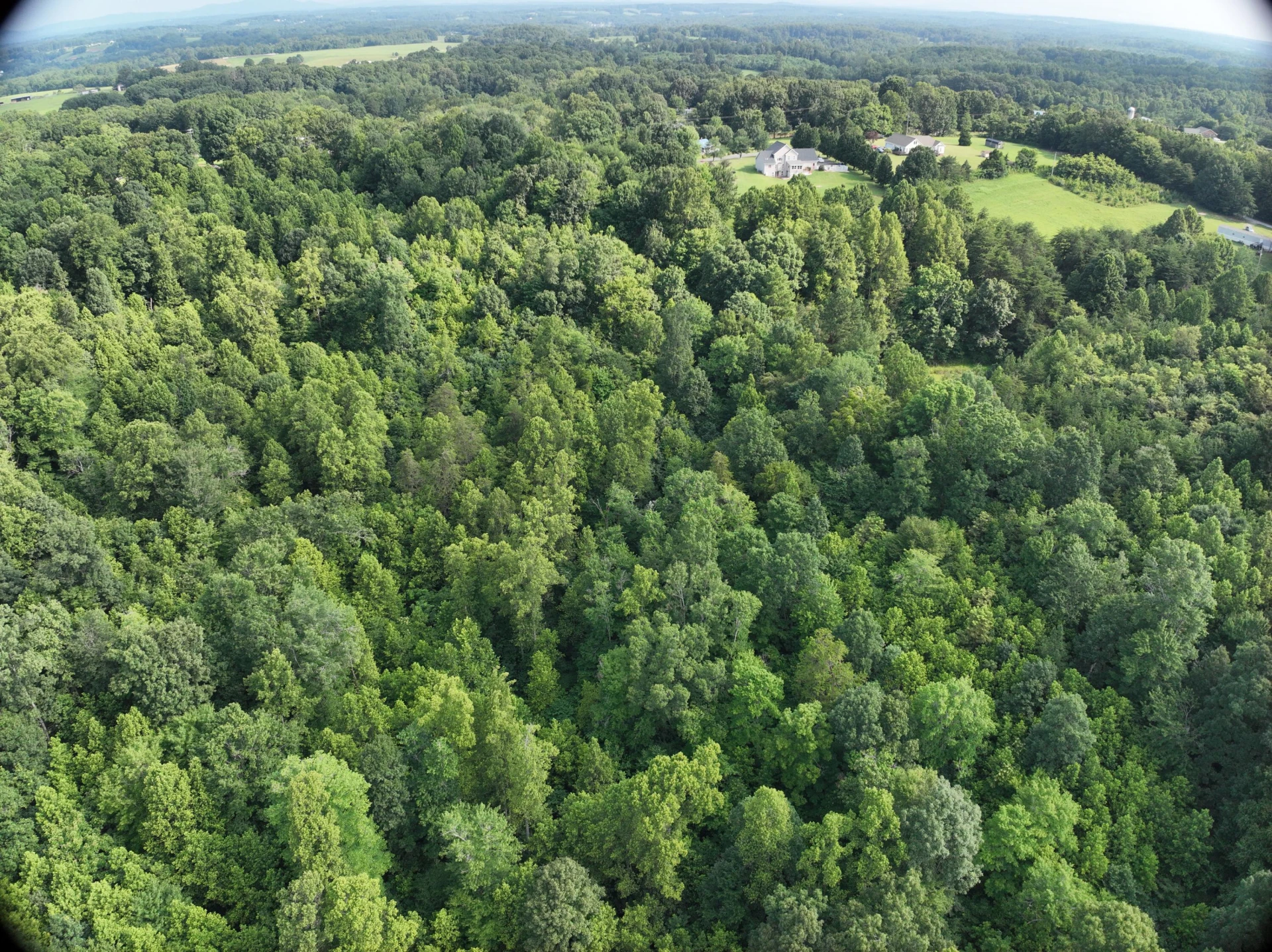 0 Jacks Creek RD - Photo 10