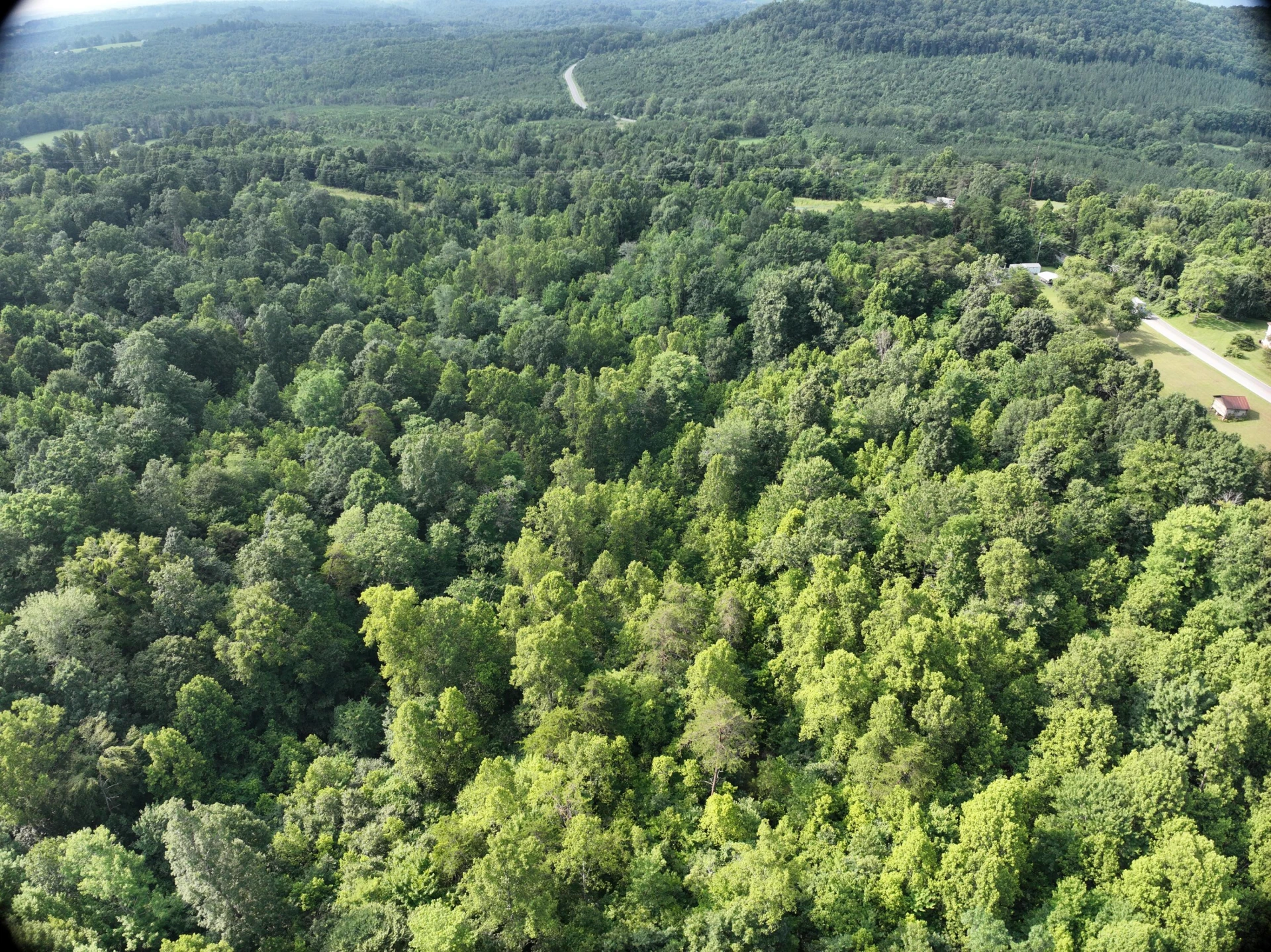 0 Jacks Creek RD - Photo 11