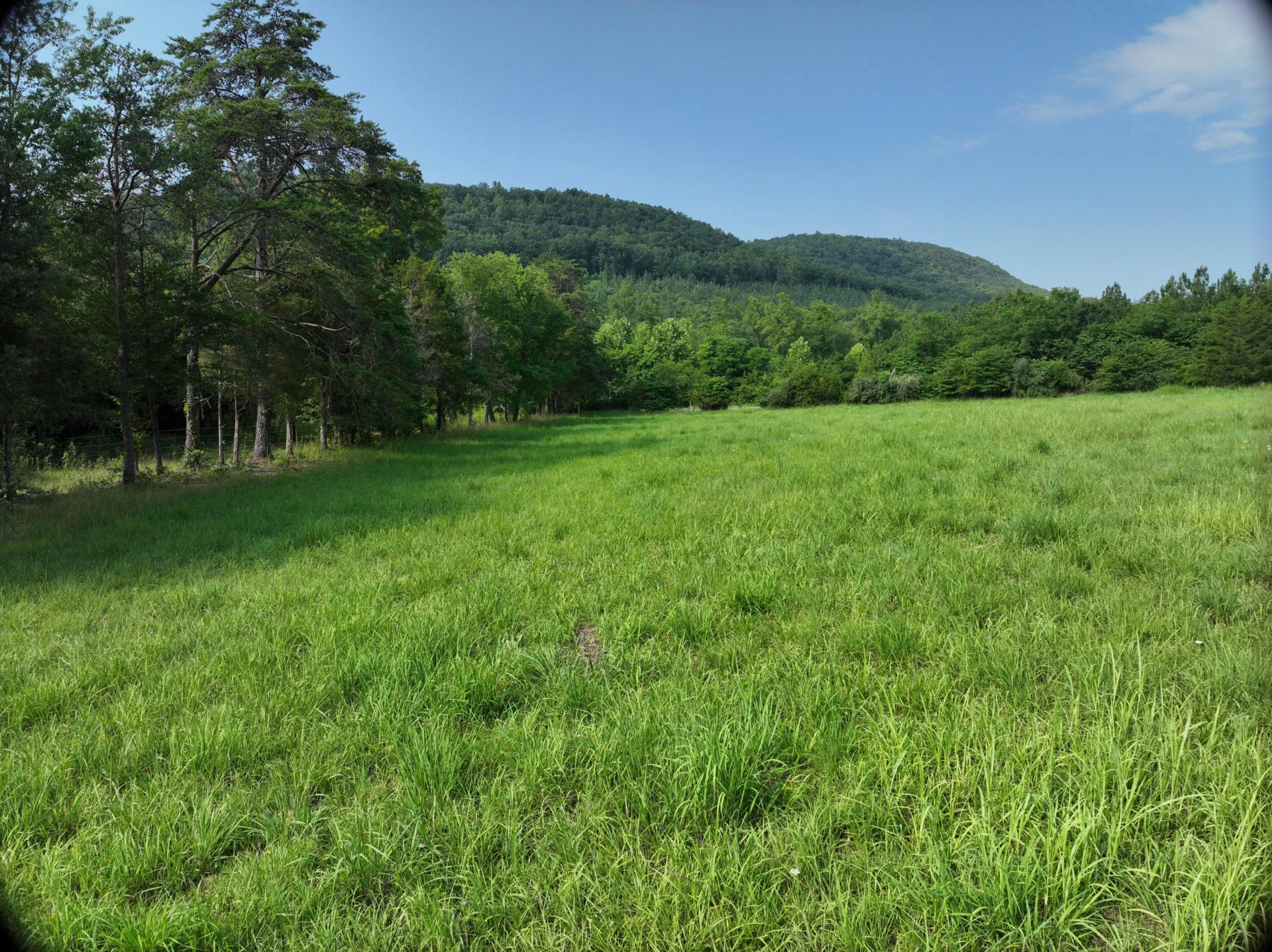 0 Jacks Creek RD - Photo 17