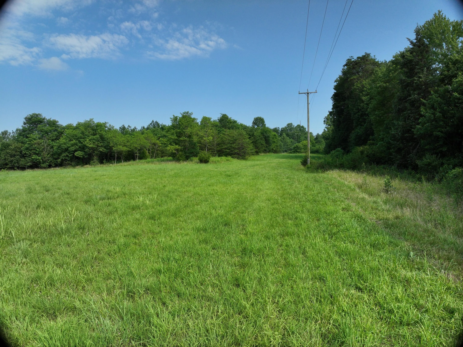 0 Jacks Creek RD - Photo 18