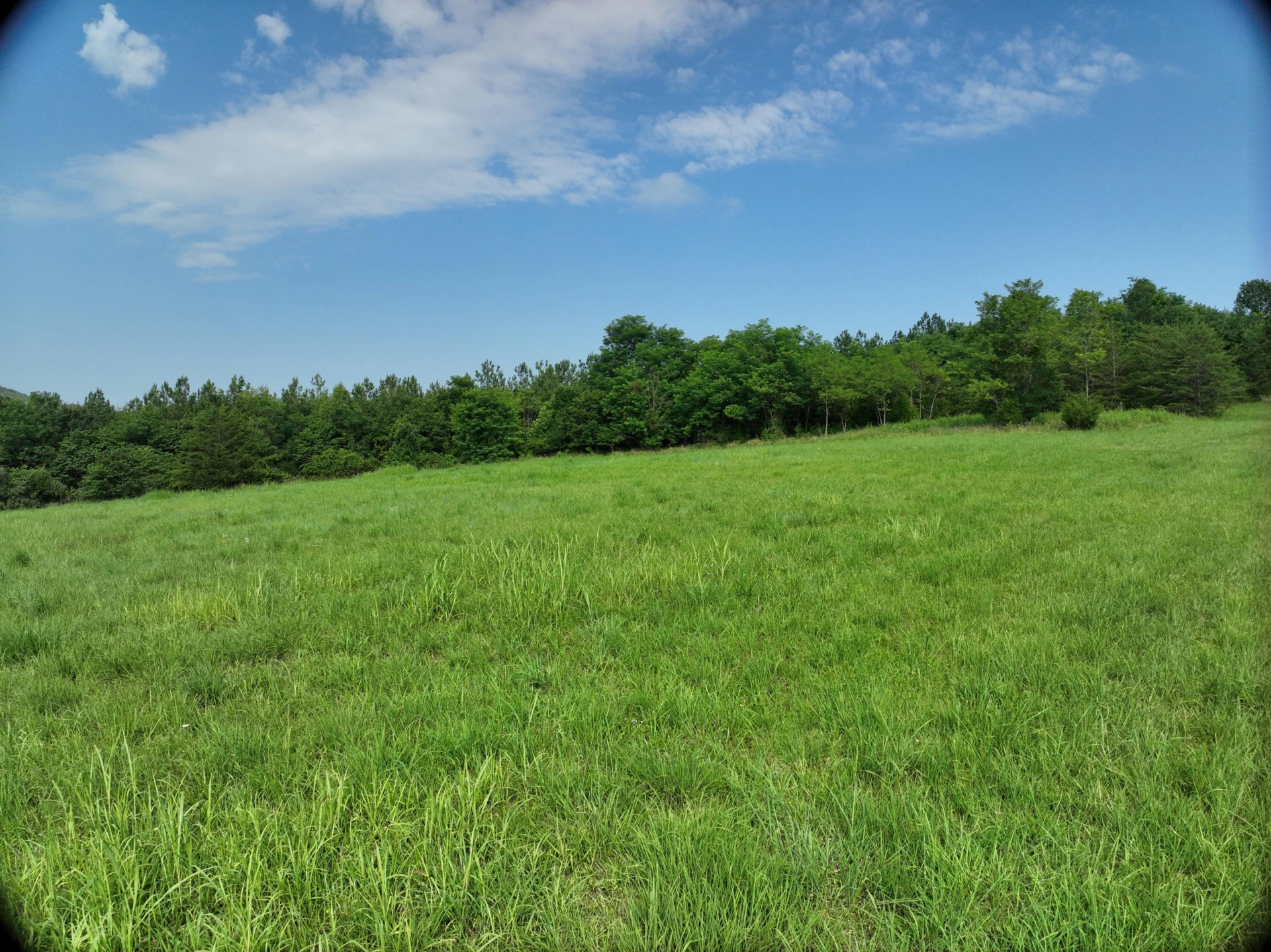 0 Jacks Creek RD - Photo 19