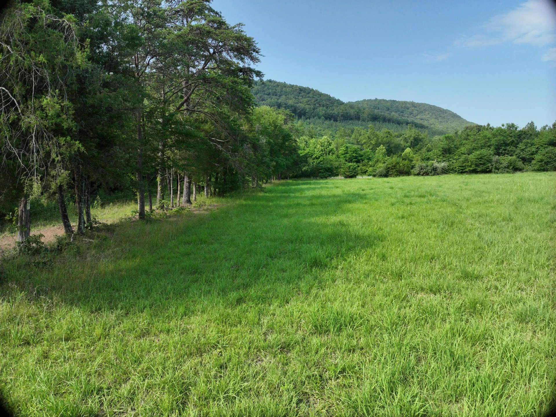 0 Jacks Creek RD - Photo 21