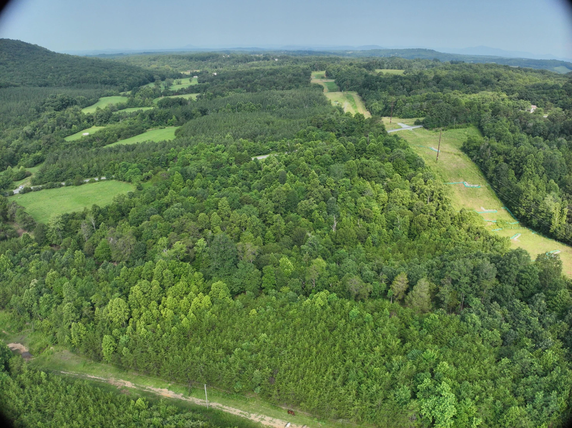 0 Jacks Creek RD - Photo 6