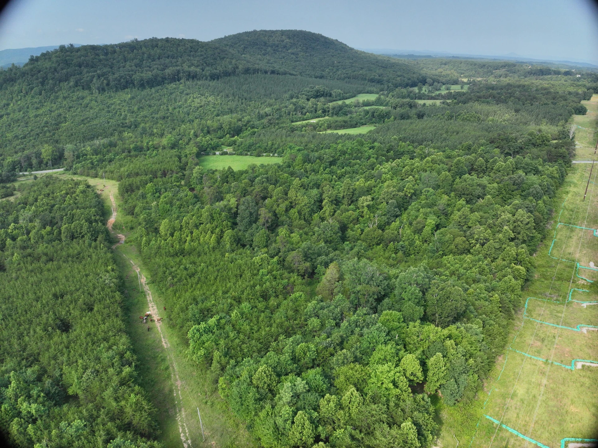 0 Jacks Creek RD - Photo 7